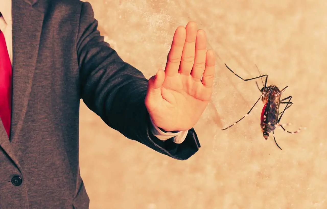 Il profumo comune che indossi e che tiene lontane le zanzare meglio di un repellente