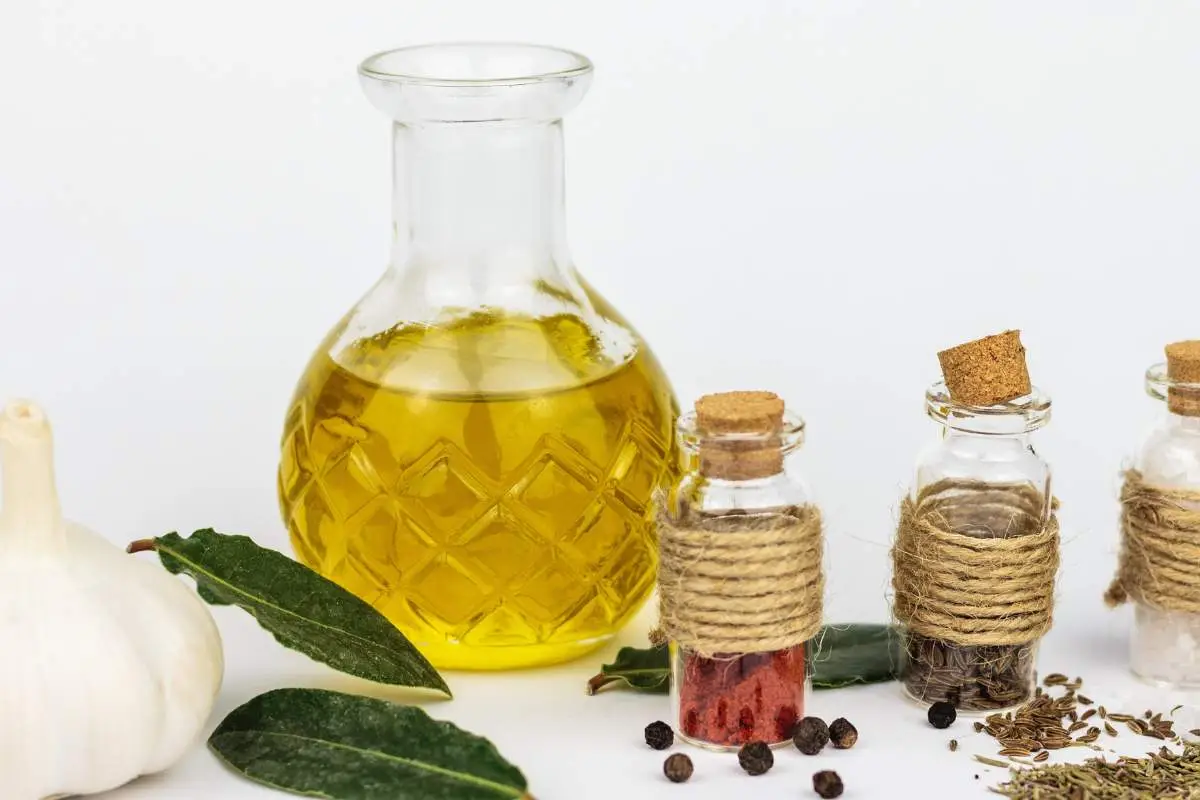 Olio di neem per le piante: ecco quanto costa davvero e perché è considerato miracoloso