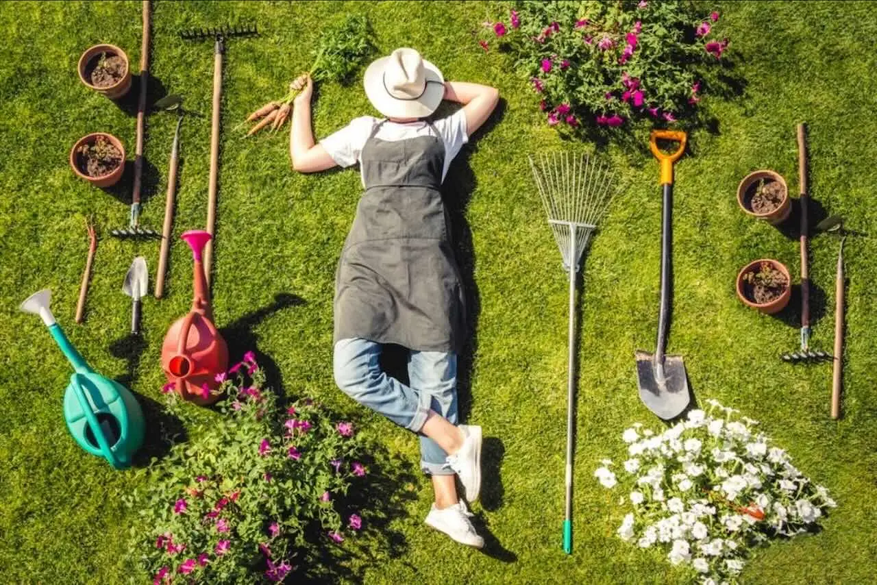 L’errore che commetti nel tuo giardino e che i giardinieri professionisti evitano sempre